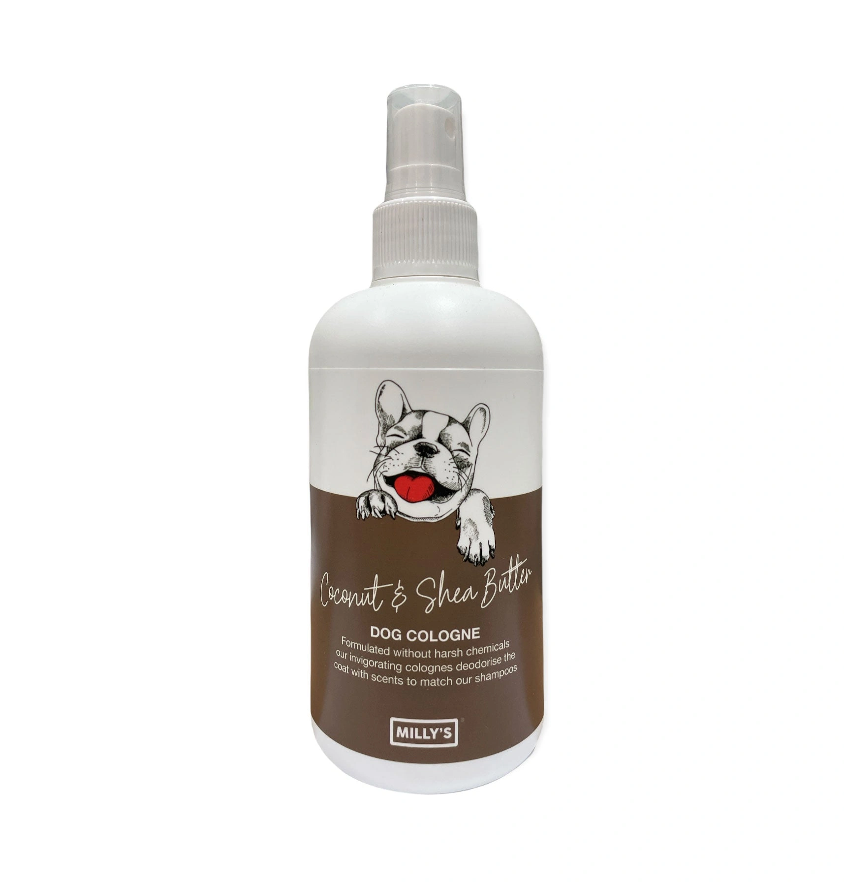 Shea & Coconut: The Cologne of Island Bliss.