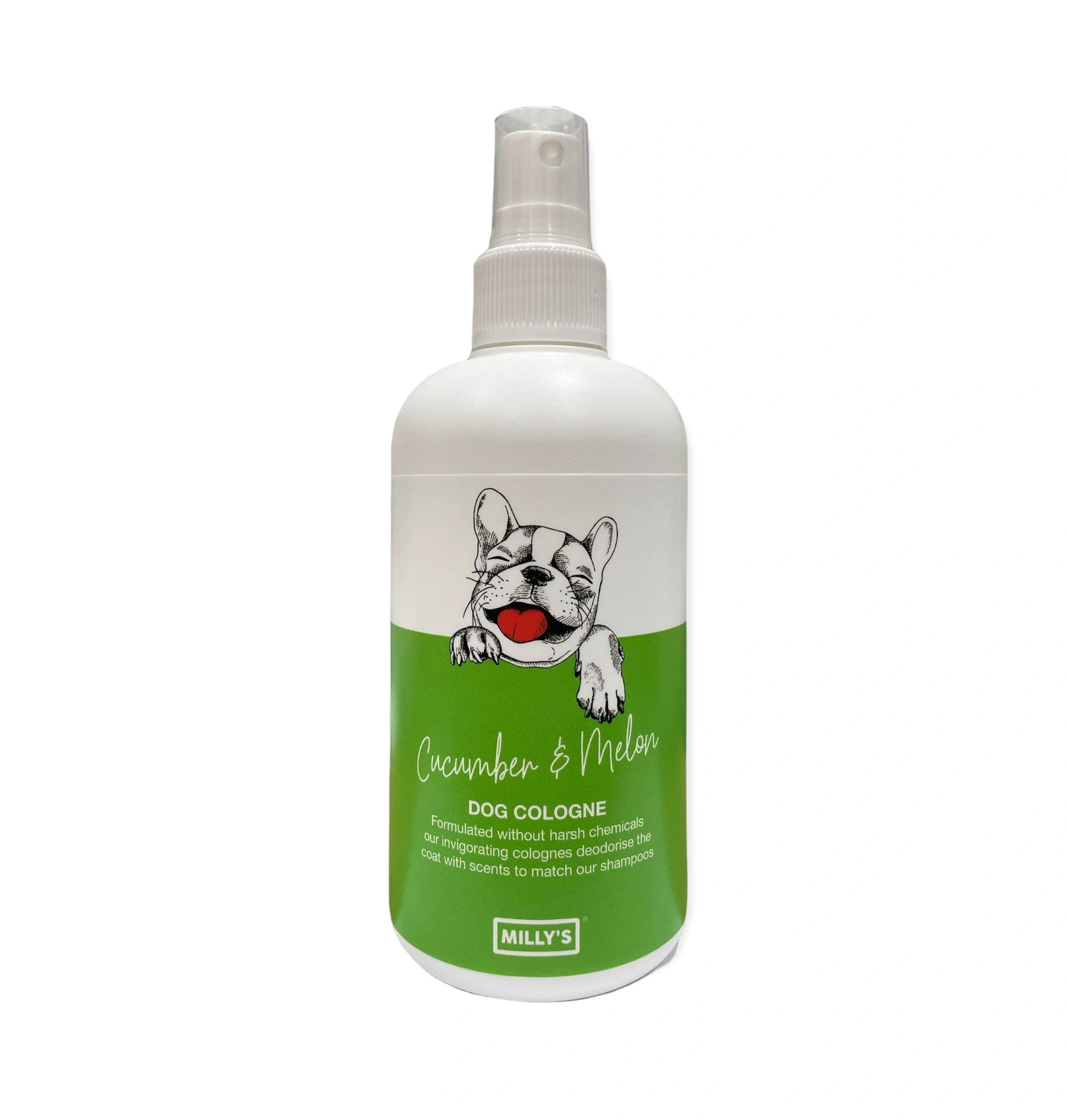 Cool Cucumber Melon: Splash Into Summer Freshness!
