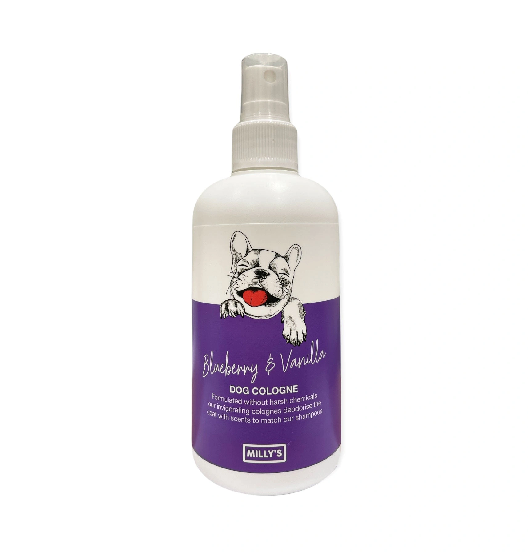 Blueberry Vanilla Bliss Cologne: Scent of Summer, a Touch of Sweetness